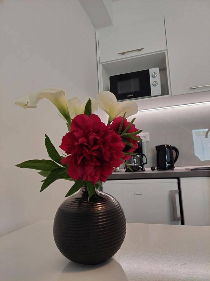 Apartment Mara Дубровник Екстер'єр фото